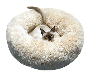BODISEINT Modern Soft Plush Round Pet Bed for Cats or Small Dogs Mini Medium Sized Dog Cat Bed Self Warming Autumn Winter Indoor Snooze Sleeping Cozy Kitty Teddy Kennel 24 D x 8 H Champagne