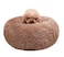 BODISEINT Modern Soft Plush Round Pet Bed for Cats or Small Dogs Mini Medium Sized Dog Cat Bed Self Warming Autumn Winter Indoor Snooze Sleeping Cozy Kitty Teddy Kennel 24 D x 8 H Coffee