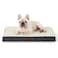 Bedsure Dog Bed Medium Size Dog Comfy Flat Puppy Beds with Removable Washable Cover Orthopedic Egg Crate Foam Pet Mat Suitable for Pet Up to 30 lbs
