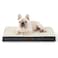 Bedsure Dog Bed Medium Size Dog Comfy Flat Puppy Beds with Removable Washable Cover Orthopedic Egg Crate Foam Pet Mat Suitable for Pet Up to 30 lbs