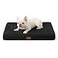 Bedsure Dog Bed Medium Size Dog Comfy Flat Puppy Beds with Removable Washable Cover Orthopedic Egg Crate Foam Pet Mat Suitable for Pet Up to 30 lbs