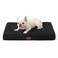 Bedsure Dog Bed Medium Size Dog Comfy Flat Puppy Beds with Removable Washable Cover Orthopedic Egg Crate Foam Pet Mat Suitable for Pet Up to 30 lbs