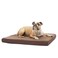 Barkbox Orthopedic Dog Bed with Memory Foam Premium Comfort for Dogs and Puppies Dog Bed for Joint Relief and Restful Sleep Durable and Easy to Clean Espresso Medium