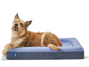 Casper Dog Bed Plush Memory Foam Small Blue