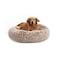 Bedfolks Calming Donut Dog Bed 36 Inches Round Fluffy for Large Dogs AntiAnxiety Plush Machine Washable Brown Large