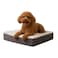 PETMAKER Orthopedic Dog Bed 2Layer Memory Foam Crate Mat with Machine Washable Sherpa Cover 20x15 Pet Bed for Small Dogs Up to 20lbs by Gray