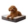 PETMAKER Orthopedic Dog Bed 2Layer Memory Foam Crate Mat with Machine Washable Sherpa Cover 20x15 Pet Bed for Small Dogs Up to 20lbs by Gray