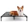suddus Elevated Dog Bed Waterproof Outdoor Portable Raised Dogs Beds Dogs Beds Off the Floor Dog Bed Easy Clean Indoor or Outdoor Use Large Grey