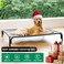 DOPEDIO Elevated Dog Bed Raised Outdoor Dog Cot for Medium Dogs Installation Requires No Tools Frame with Washable Cooling Breathable Mesh AntiSlip Feet Indoor Pet Bed Grey 354 Inches