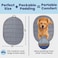 rubyloo Travel Dog Bed 42 x 30 Foldable Packable for Travel Road Trip Camping Lightweight Water Resistant Cozy Soft Padding Compact Portable Machine Washable Medium Large Breeds Grey