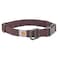 Carhartt Nylon Duck Dog Collar Fully Adjustable Durable 2Ply Cordura Nylon Canvas Collars for Dogs Deep Wine Medium