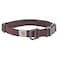 Carhartt Nylon Duck Dog Collar Fully Adjustable Durable 2Ply Cordura Nylon Canvas Collars for Dogs Deep Wine Large