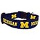 All Star Dogs NCAA Michigan Wolverines Collegiate Dog Collar Large