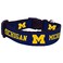 All Star Dogs NCAA Michigan Wolverines Collegiate Dog Collar Large
