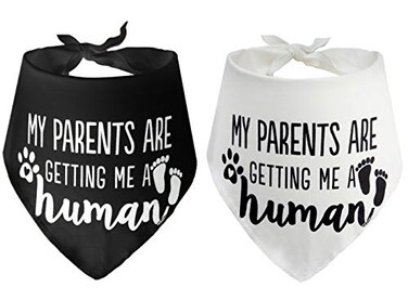 PICKUPIK My Parents are Getting me a Human2 Pack Gender Reveal Dog Bandana