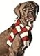 Chilly Dog WhiteRed Pet Scarf Large