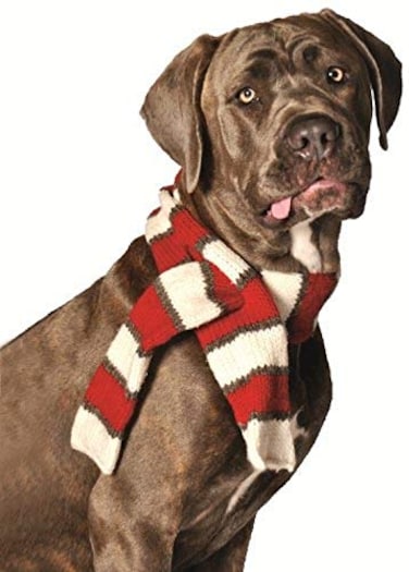 Chilly Dog WhiteRed Pet Scarf Large