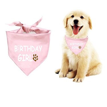Waghaw Bandana for Dog Birthday Boy Girl Supplies for Small Medium Large Pets