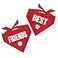 TeesTails Best Friends Matching Dog Bandana Red OS 1382 Pack