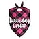 JOTFA Plaid Dog Bandana for Birthday Party Supplies Pink