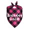 JOTFA Plaid Dog Bandana for Birthday Party Supplies Pink