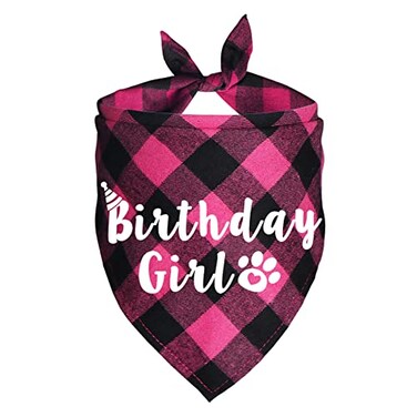JOTFA Plaid Dog Bandana for Birthday Party Supplies Pink
