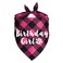 JOTFA Plaid Dog Bandana for Birthday Party Supplies Pink