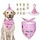 Yicostar Dog Birthday Decorations Dog Birthday Hat with Numbers for Large Medium SmallPet Supplies Pink