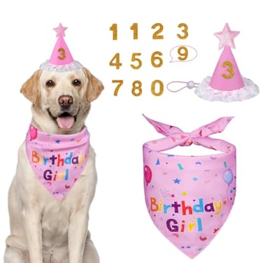 Yicostar Dog Birthday Decorations Dog Birthday Hat with Numbers for Large Medium SmallPet Supplies Pink