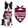 STMK Plaid Dog Bandana Pink My Parents are Getting Me A Human Adjustable One Size