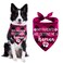 STMK Plaid Dog Bandana Pink My Parents are Getting Me A Human Adjustable One Size
