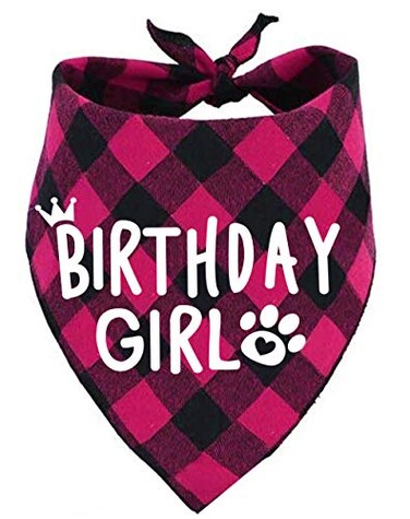 PICKUPIK Birthday Girl Dog Bandana