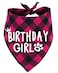 PICKUPIK Birthday Girl Dog Bandana