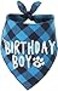 PICKUPIK Dog Birthday Bandana Boy