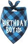 PICKUPIK Dog Birthday Bandana Boy