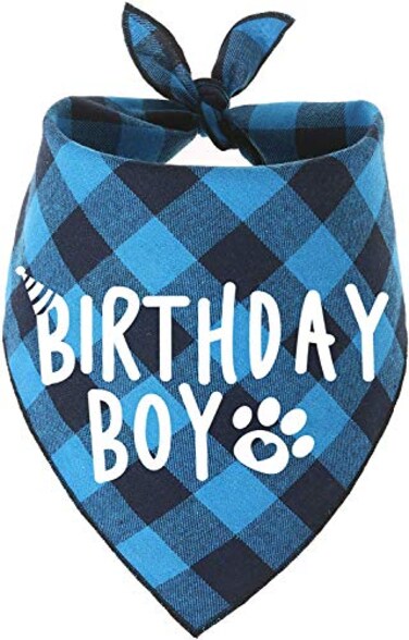PICKUPIK Dog Birthday Bandana Boy