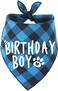 PICKUPIK Dog Birthday Bandana Boy