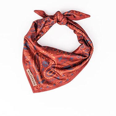 Wilderdog Dog Bandana with Lightweight Quick Drying PolyBlend Mesh Material in Rodeo