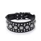Haoyueer Rhinestones Dog Collars Flower Pattern Rhinestone Studded Leather Sparkly Crystal Diamonds Dazzling Sparkling Elegant Fancy PU Leather Dog Collar for Medium Large DogsBlackM