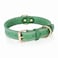 DAIHAQIKO Leather Dog Collar Heavy Duty Wide Genuine for Medium Large Dogs Dual Stitch Green