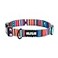 Wolfgang ManBeast Wolfgang Heavy Duty Adjustable Dog Collar with Quick Release Nylon Buckle for Walking Training Quetzal Print Large