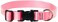 LupinePet Basics 1 Pink 1220 Adjustable Collar for Medium and Larger Dogs