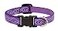 LupinePet Originals 12 Jelly Roll 1016 Adjustable Collar for Small Dogs