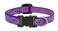 LupinePet Originals 12 Jelly Roll 1016 Adjustable Collar for Small Dogs