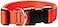 LupinePet Basics 1 Blaze Orange 1220 Adjustable Collar for Medium and Larger Dogs