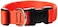 LupinePet Basics 1 Blaze Orange 1220 Adjustable Collar for Medium and Larger Dogs