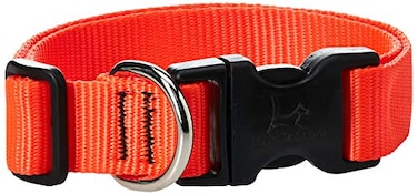 LupinePet Basics 1 Blaze Orange 1220 Adjustable Collar for Medium and Larger Dogs