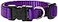 LupinePet Basics 12 Purple 812 Adjustable Collar for Small Dogs