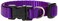 LupinePet Basics 12 Purple 812 Adjustable Collar for Small Dogs