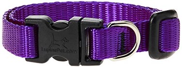 LupinePet Basics 12 Purple 812 Adjustable Collar for Small Dogs